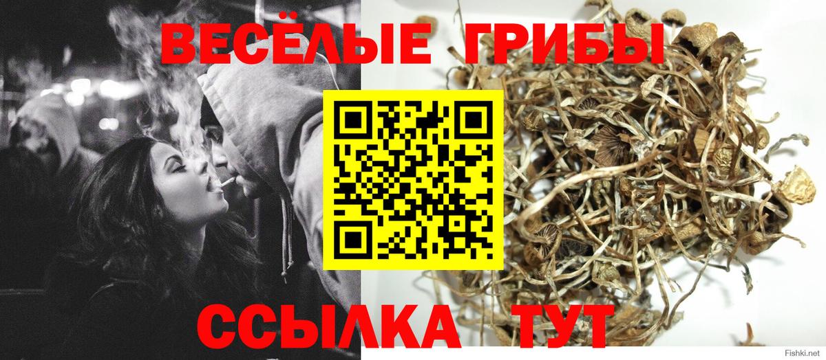 Галлюциногенные грибы мицелий Джанкой