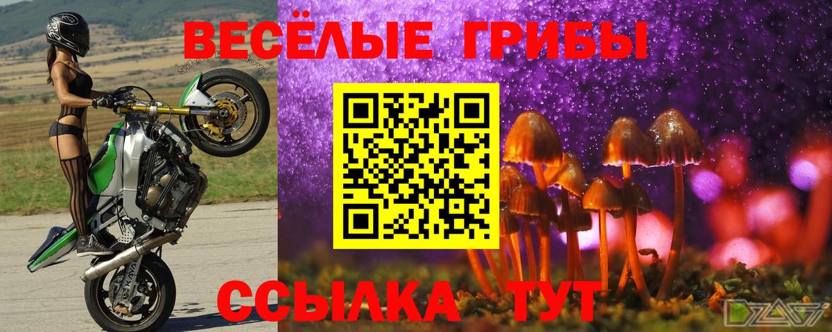 Псилоцибиновые грибы мицелий  Псилоцибиновые грибы мицелий  Джанкой  Вход с VPN 