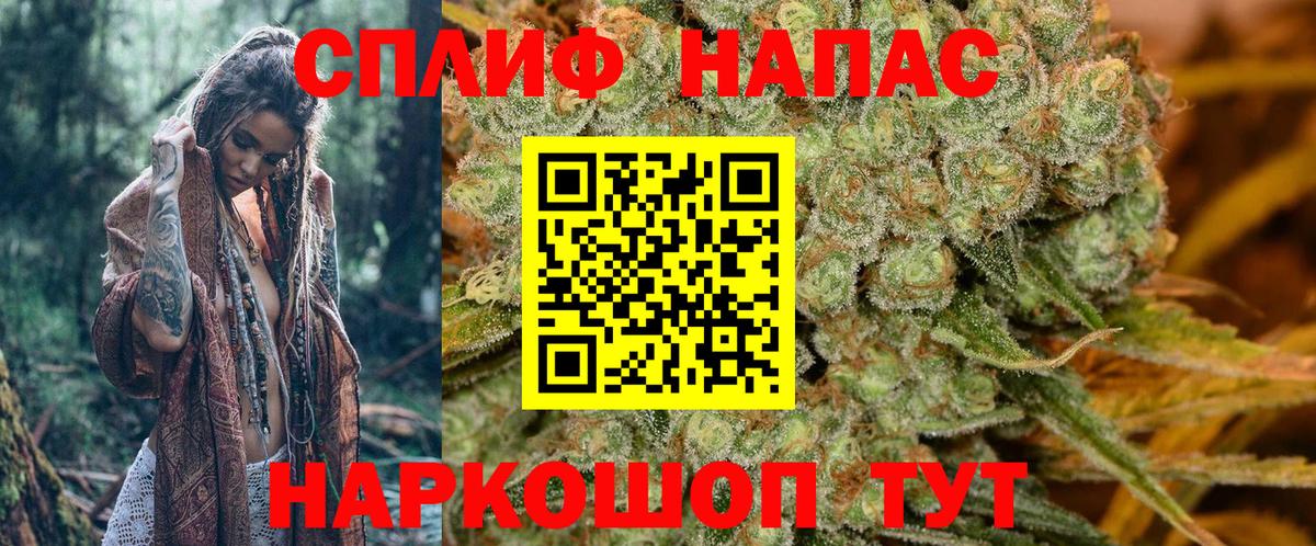Каннабис семена  МАРИХУАНА Bruce Banner  Конопля OG Kush  Канабис марихуана  Джанкой  Вход с VPN 